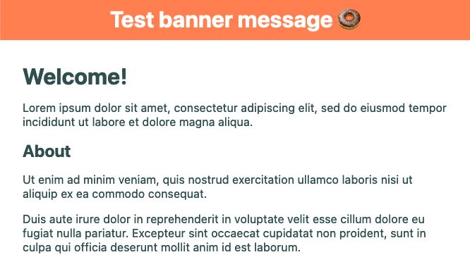example banner message